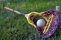 Girls lacrosse sport icon.