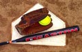  softball sport icon.