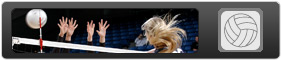 Image for Girls Volleyball Leaders.